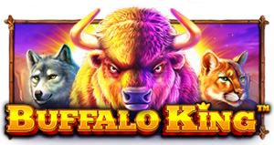 Logo Buffalo KingTM