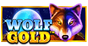 pragmatic-wolf-gold